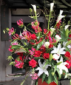 万延元年（1860年）からの歴史を持つ青柳家の「薬医門」